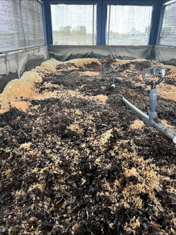  the interior of the Biodynamic Aerobic (BIDA) bed, where light brown and dark brown material mix together. Worms have been transplanted into the darker castings material, and the light brown material is comprised of wood shavings.  