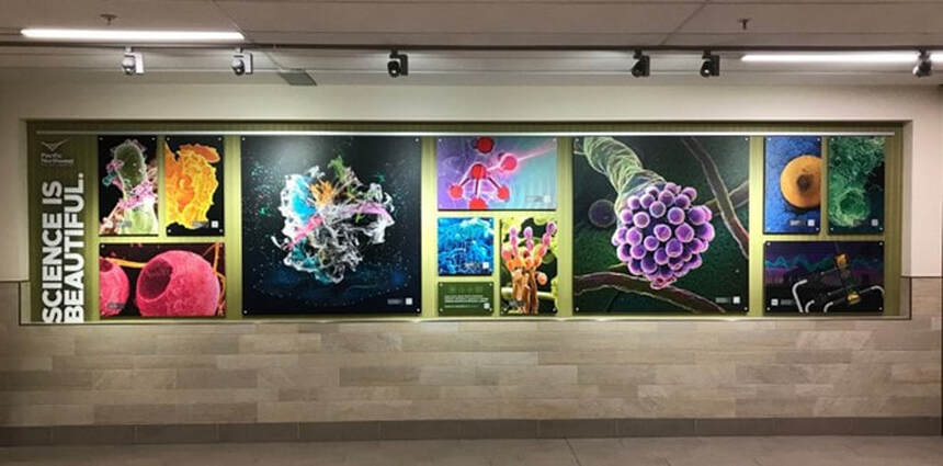Science is Beautiful display at Tri-Cities Airport